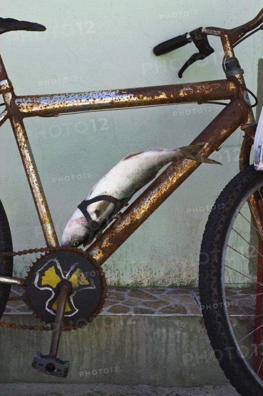 Fish secured to rusty bicycle