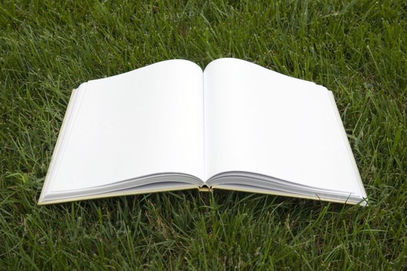 Open book with blank pages on grass