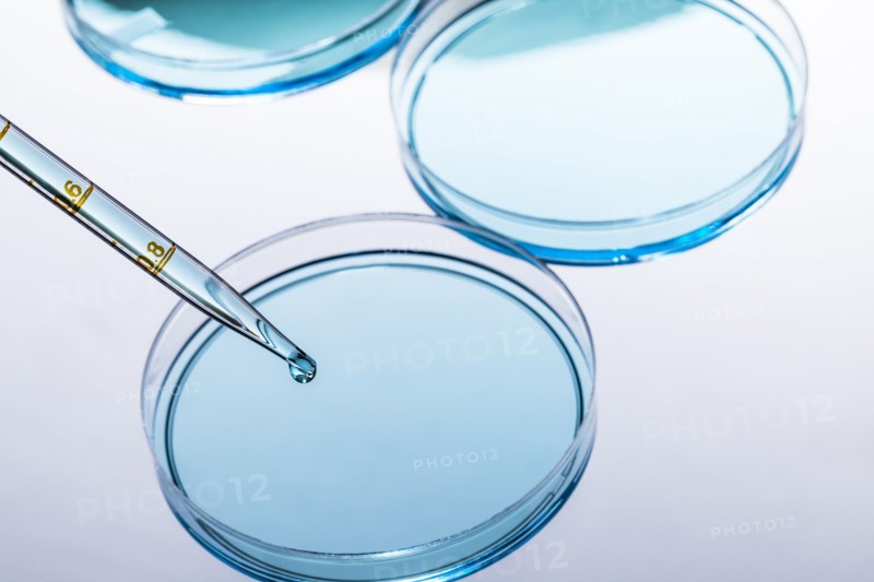 Petri dish with blue liquid and pipette