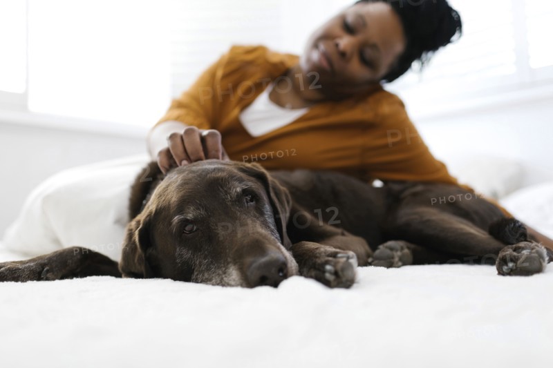 Woman petting dog at home
