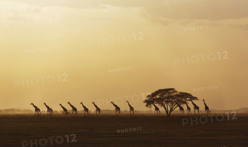 Kenya
