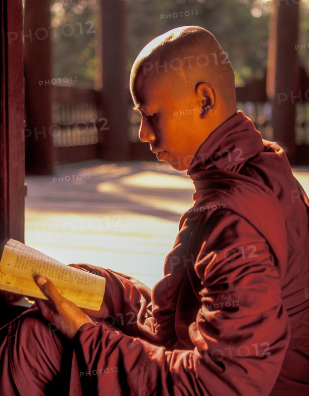 Buddhist monk reading prayers book