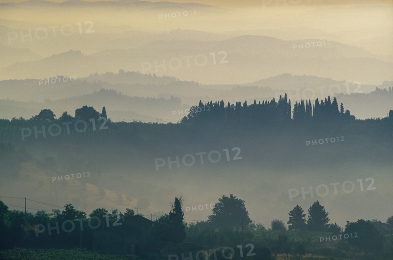 Rural hills with morning mist