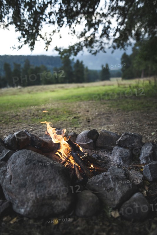 Bonfire under tree