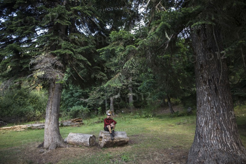 Man sitting on log between pine trees