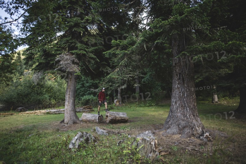 Man standing on log between pine trees