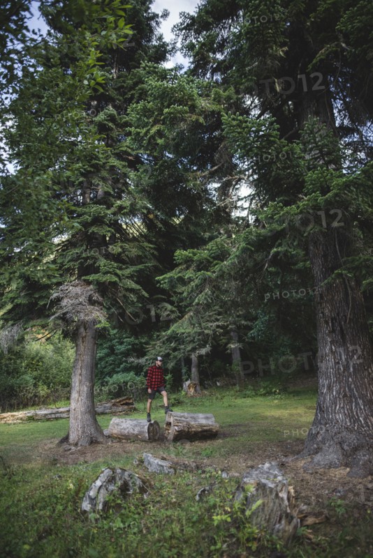 Man standing on log between pine trees