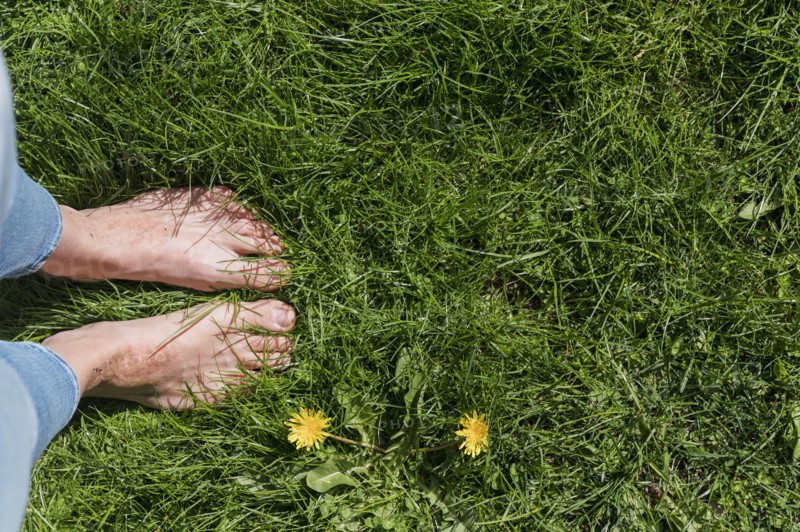 Bare feet of woman standing in lush green grass
