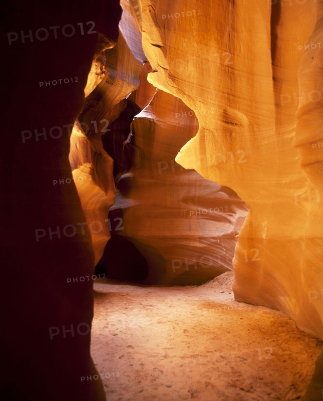 Arizona
