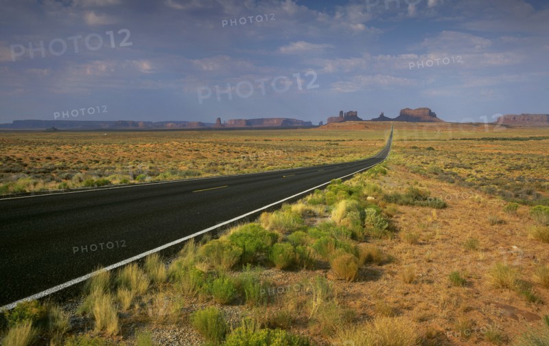 Arizona