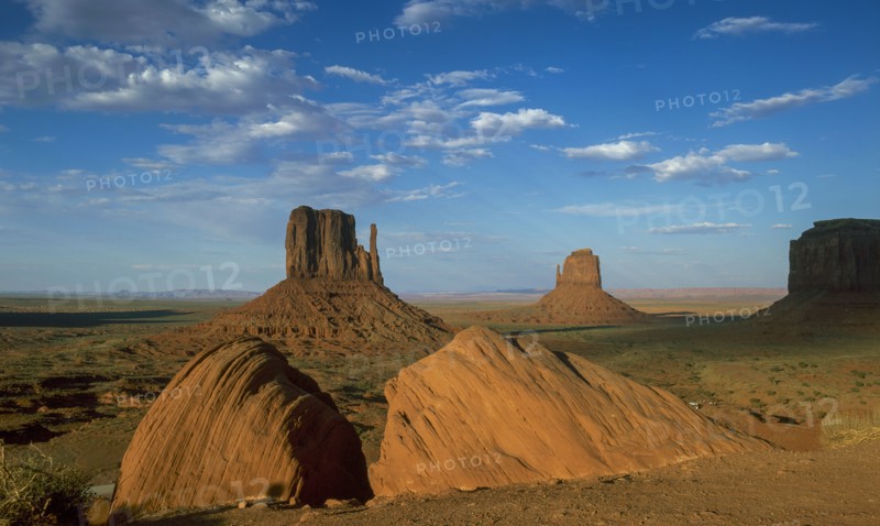 Arizona