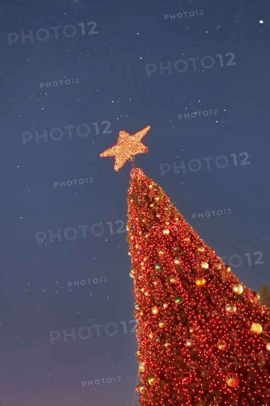 Low angle view of red Christmas tree against sky at night