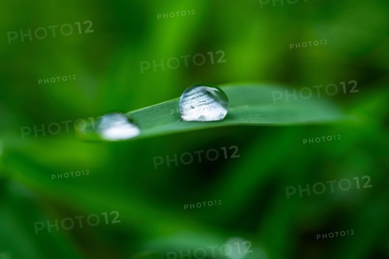 Close-up of water drops on grass