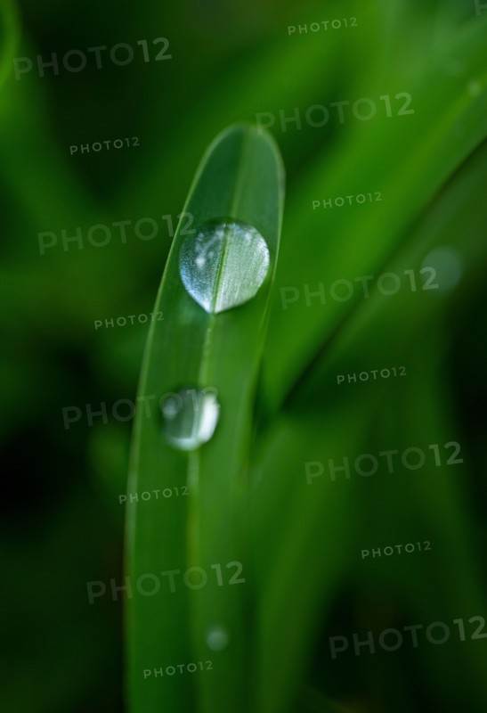 Close-up of water drops on grass