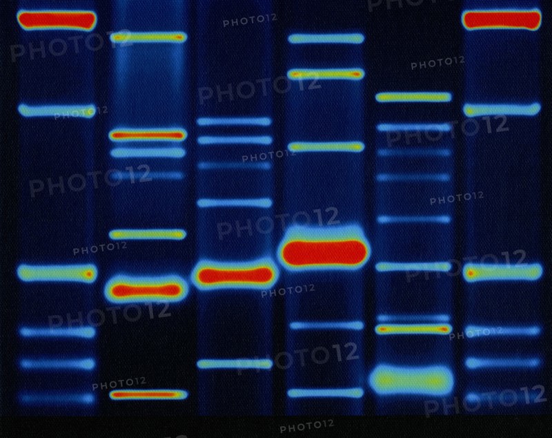 DNA configuration