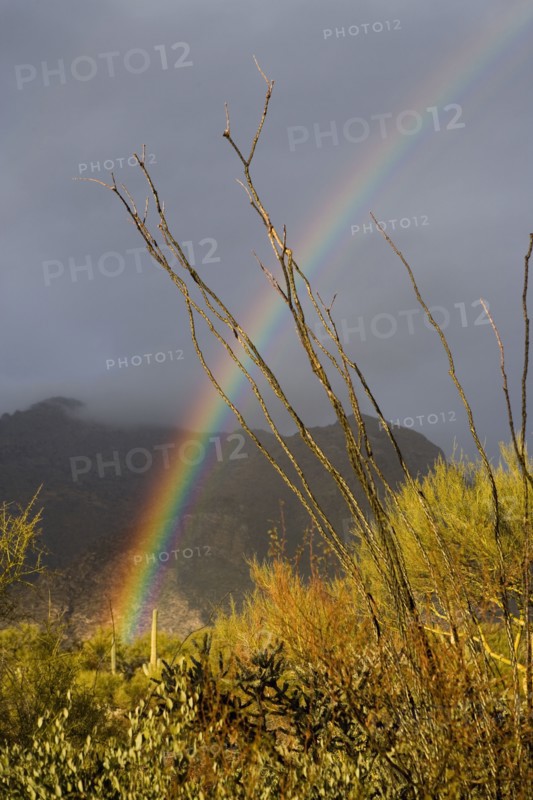 USA, Arizona, Tucson, Rainbow in landscape with mountains in background