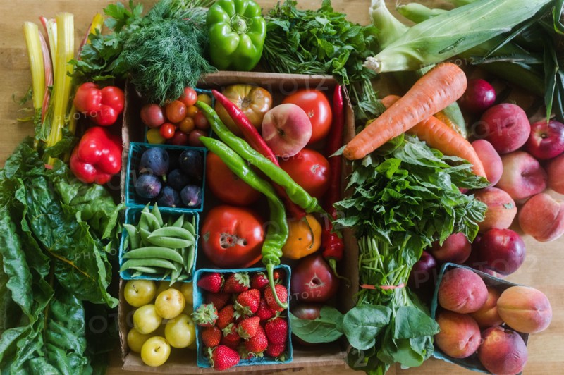 Overhead view of assorted vegetables
