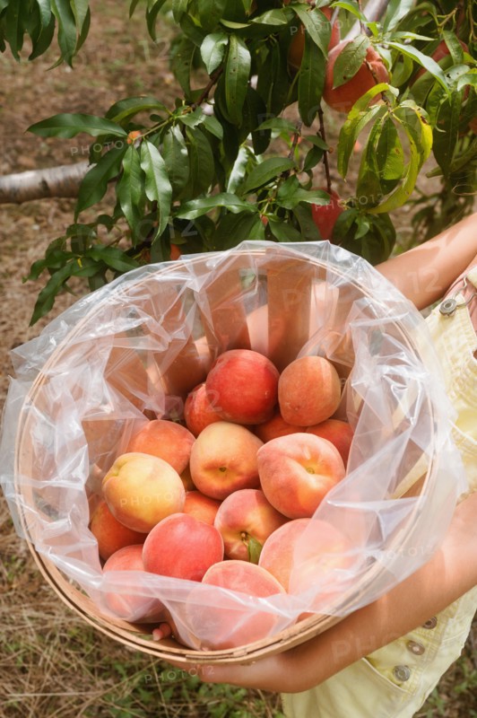 Close-up of girls hands holding bucket