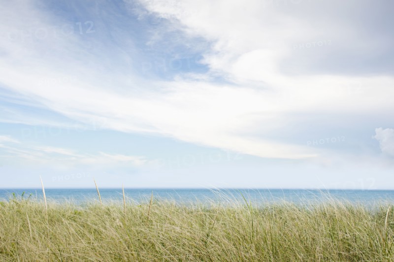 Atlantic Ocean from dunes at Siasconset Beach