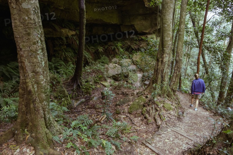 Woman on hiking trail in forest