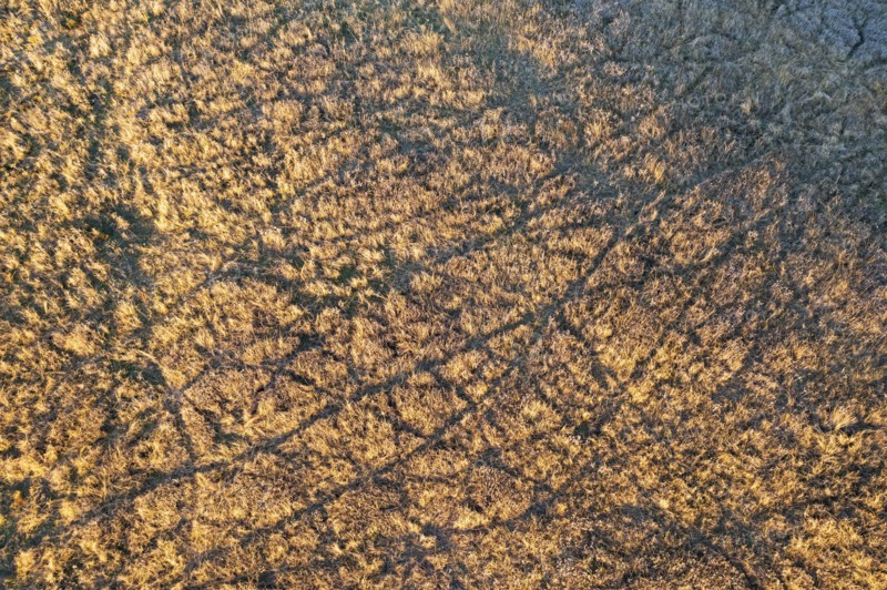 Aerial view of tire tracks in field