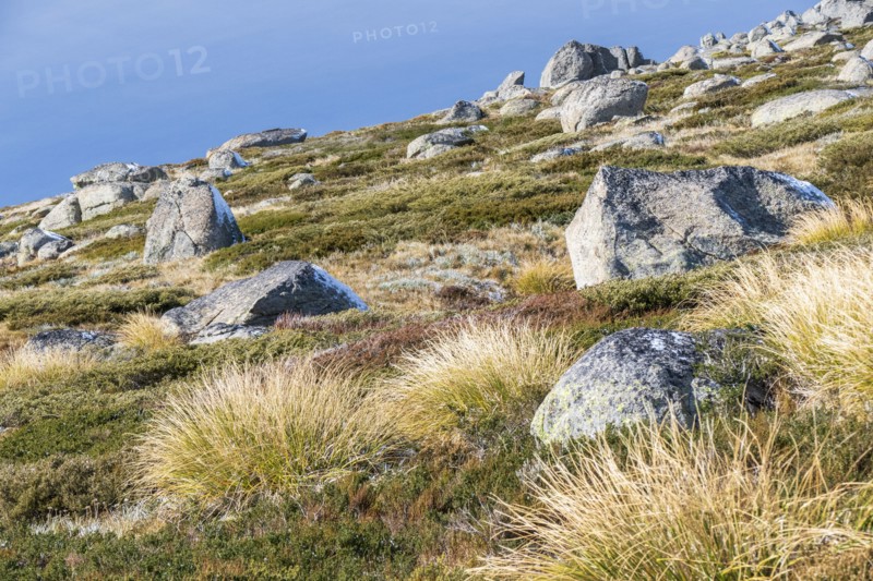 Kosciuszko National Park