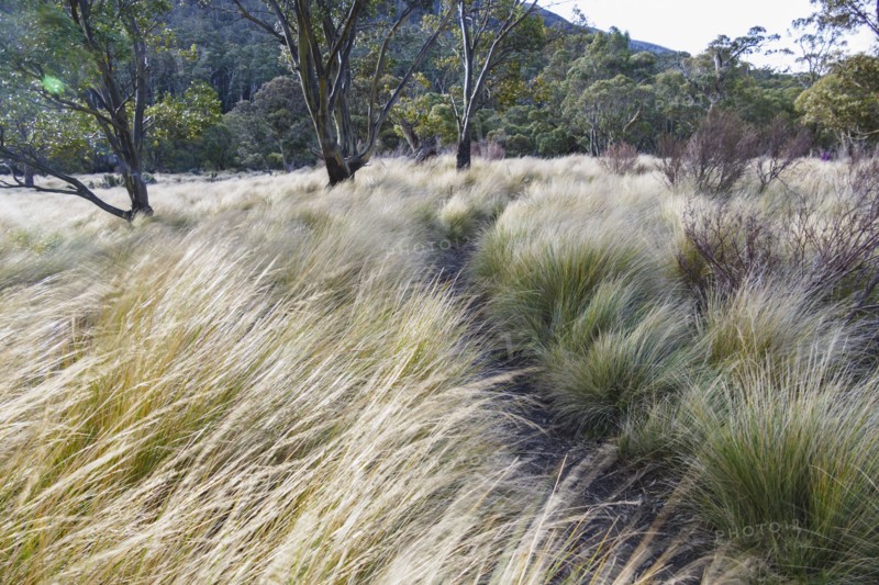 Kosciuszko National Park