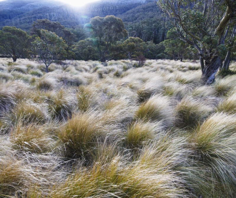 Kosciuszko National Park