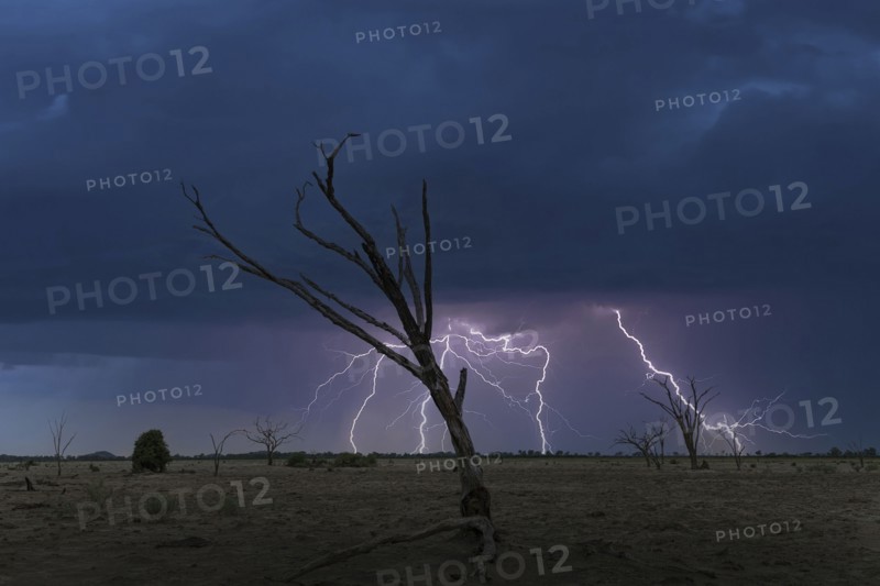 Thunderstorm over savannah