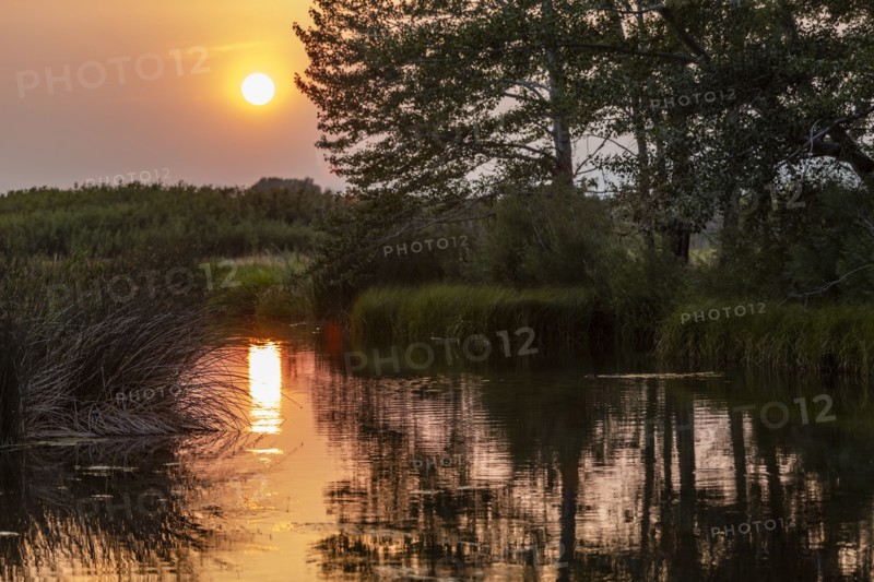 Sunset reflecting in spring creek