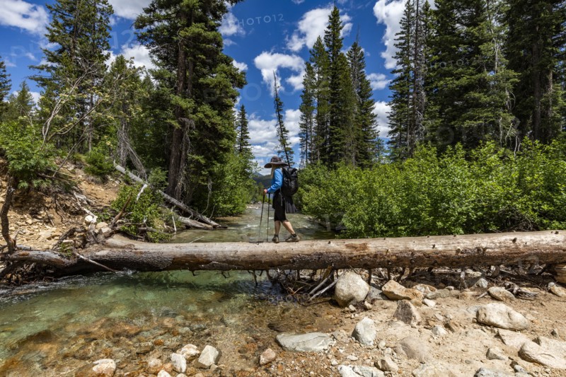 Woman hiker walking across fallen tree