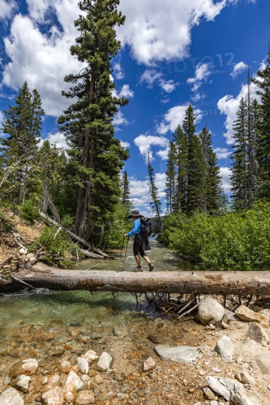 Woman hiker walking across fallen tree