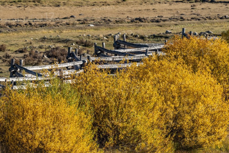 Fall foliage and rail fence near Sun Valley