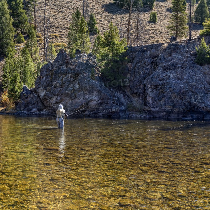 Woman fly-fishing in Salmon River