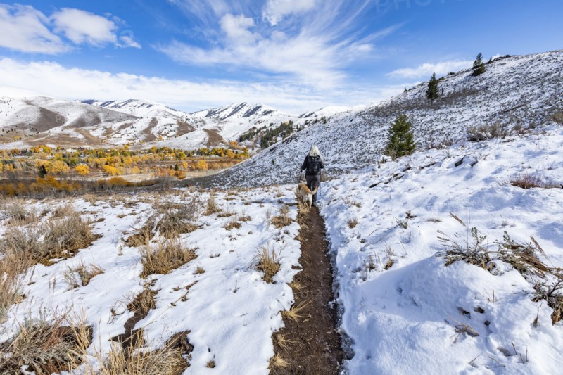 Hiker with golden labrador on snowy trail