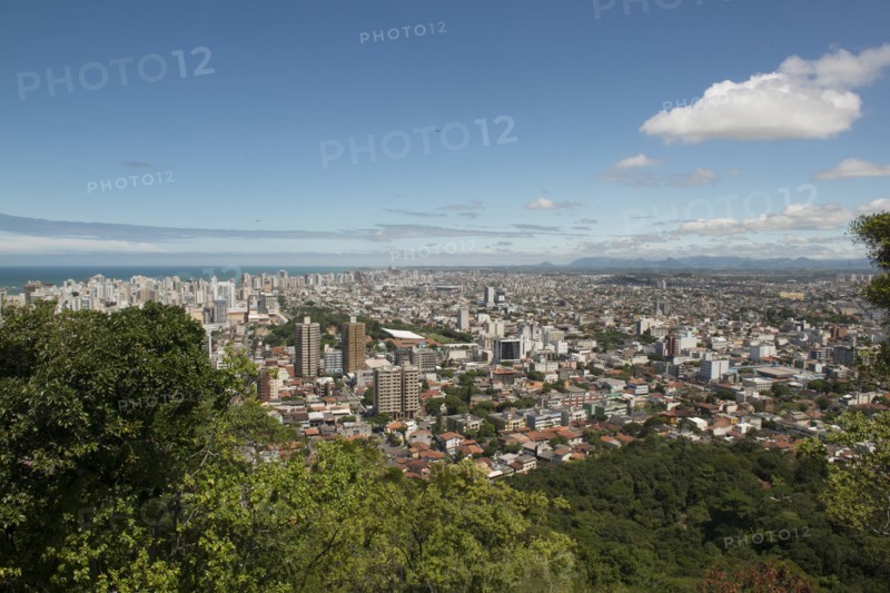Trees overlooking Vitoria cityscape