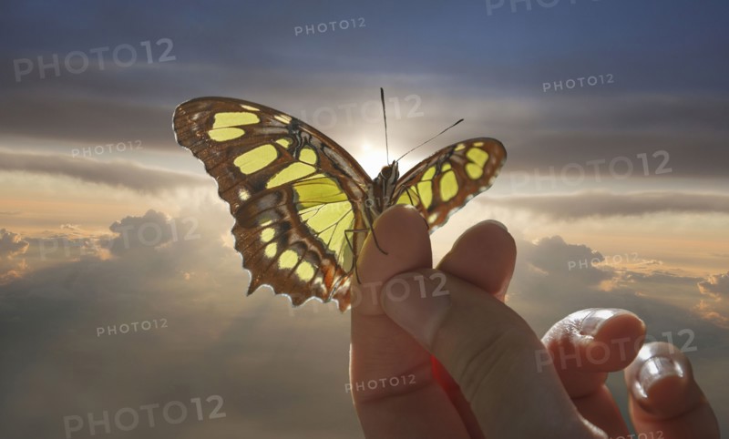 Caucasian woman holding butterfly in cloudy sky