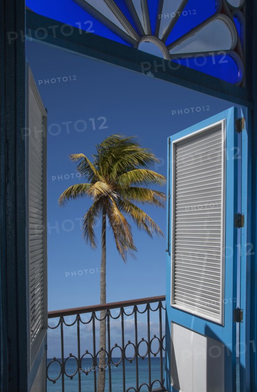 Balcony doors overlooking palm tree and ocean