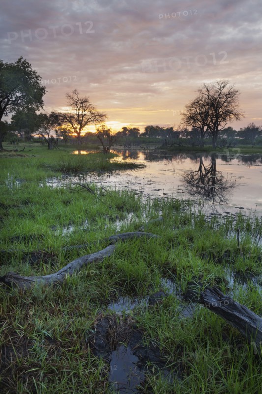 Sunset reflecting in remote river