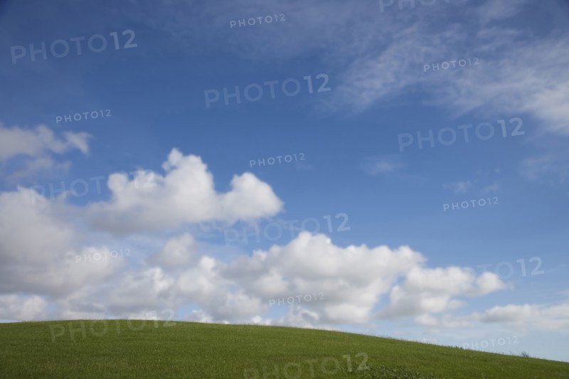 Rolling green hill under blue sky