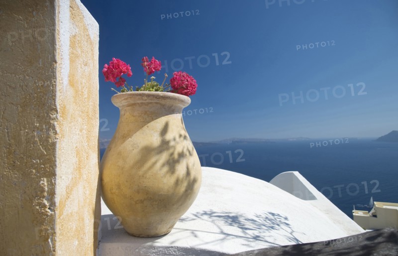 Flower pot on balcony overlooking seascape