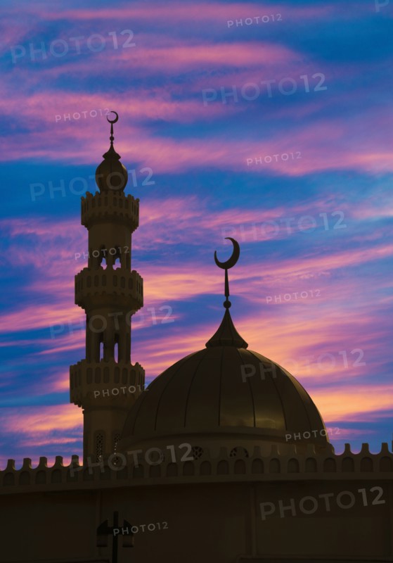 Silhouette of ornate spires and dome building