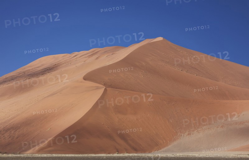 Sand dunes in desert landscape