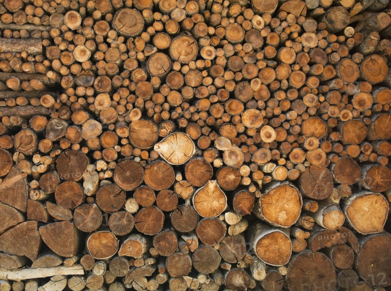 Pile of cut logs