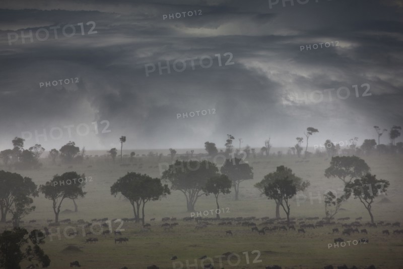 Storm clouds over savanna field