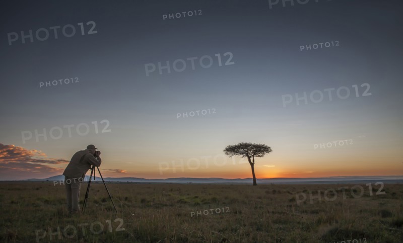Caucasian photographer photographing tree in savanna