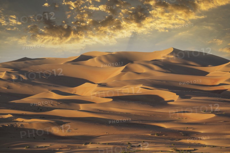 Sand dunes in remote desert
