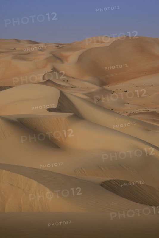 Sand dunes in desert landscape