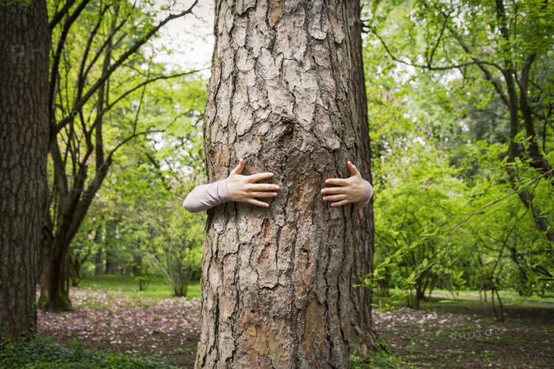 Caucasian woman hugging tree in park