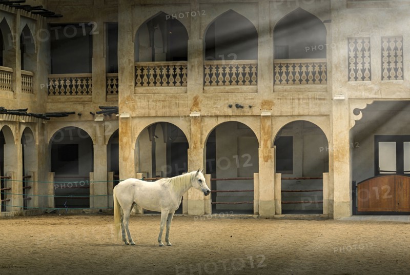 Horse standing in sunbeams near ornate building